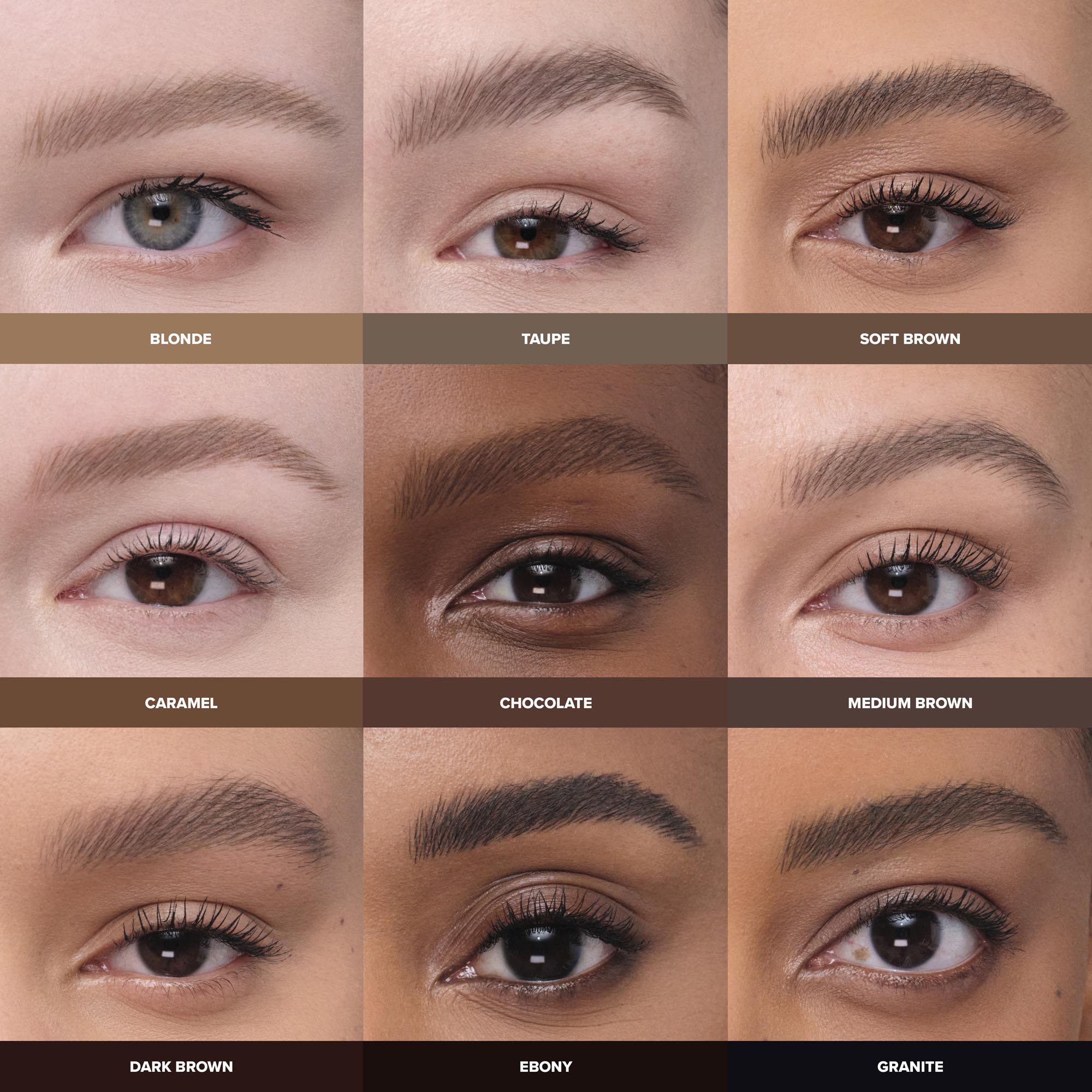 MicroStroke Brow Pen - Anastasia